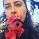 cheeky chickens Founder moderator Australorp feeder